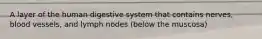 A layer of the human digestive system that contains nerves, blood vessels, and lymph nodes (below the muscosa)