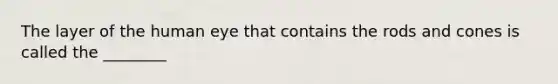 The layer of the human eye that contains the rods and cones is called the ________