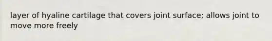 layer of hyaline cartilage that covers joint surface; allows joint to move more freely
