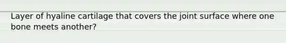 Layer of hyaline cartilage that covers the joint surface where one bone meets another?