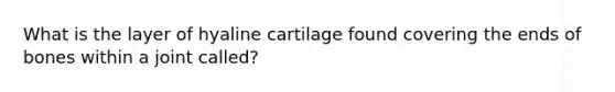 What is the layer of hyaline cartilage found covering the ends of bones within a joint called?