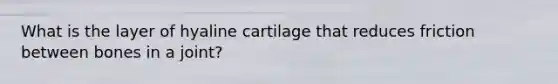 What is the layer of hyaline cartilage that reduces friction between bones in a joint?