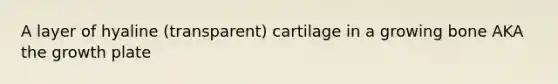 A layer of hyaline (transparent) cartilage in a growing bone AKA the growth plate