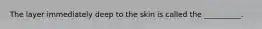 The layer immediately deep to the skin is called the __________.