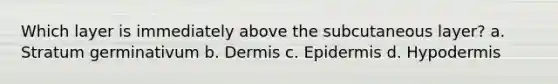 Which layer is immediately above the subcutaneous layer? a. Stratum germinativum b. Dermis c. Epidermis d. Hypodermis