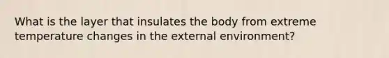 What is the layer that insulates the body from extreme temperature changes in the external environment?