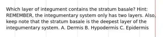 Which layer of integument contains the stratum basale? Hint: REMEMBER, the integumentary system only has two layers. Also, keep note that the stratum basale is the deepest layer of the integumentary system. A. Dermis B. Hypodermis C. Epidermis