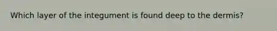 Which layer of the integument is found deep to <a href='https://www.questionai.com/knowledge/kEsXbG6AwS-the-dermis' class='anchor-knowledge'>the dermis</a>?