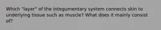 Which "layer" of the integumentary system connects skin to underlying tissue such as muscle? What does it mainly consist of?