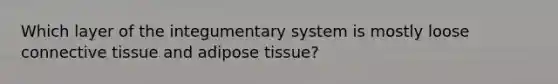 Which layer of the integumentary system is mostly loose connective tissue and adipose tissue?