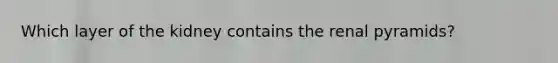 Which layer of the kidney contains the renal pyramids?