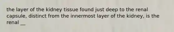 the layer of the kidney tissue found just deep to the renal capsule, distinct from the innermost layer of the kidney, is the renal __