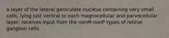 a layer of the lateral geniculate nucleus containing very small cells, lying just ventral to each magnocellular and parvocellular layer; receives input from the nonM-nonP types of retinal ganglion cells