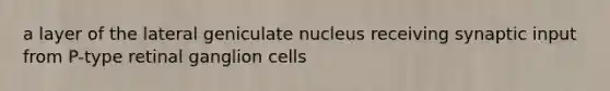 a layer of the lateral geniculate nucleus receiving synaptic input from P-type retinal ganglion cells