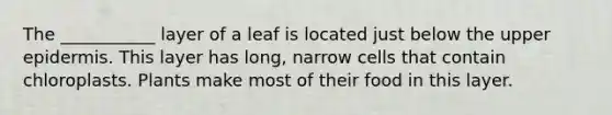 The ___________ layer of a leaf is located just below the upper epidermis. This layer has long, narrow cells that contain chloroplasts. Plants make most of their food in this layer.