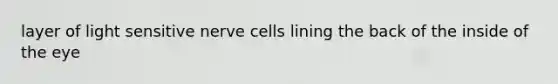 layer of light sensitive nerve cells lining the back of the inside of the eye