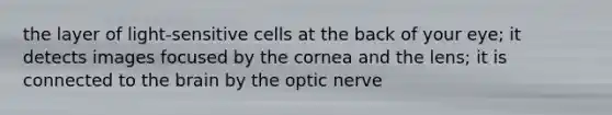 the layer of light-sensitive cells at the back of your eye; it detects images focused by the cornea and the lens; it is connected to <a href='https://www.questionai.com/knowledge/kLMtJeqKp6-the-brain' class='anchor-knowledge'>the brain</a> by the optic nerve