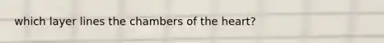 which layer lines the chambers of the heart?