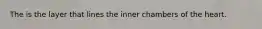 The is the layer that lines the inner chambers of the heart.