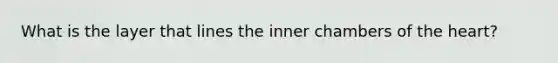 What is the layer that lines the inner chambers of <a href='https://www.questionai.com/knowledge/kya8ocqc6o-the-heart' class='anchor-knowledge'>the heart</a>?