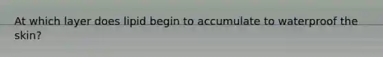 At which layer does lipid begin to accumulate to waterproof the skin?
