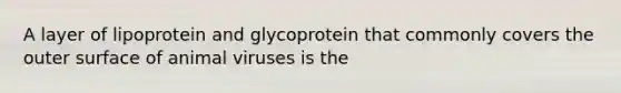 A layer of lipoprotein and glycoprotein that commonly covers the outer surface of animal viruses is the