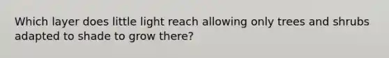 Which layer does little light reach allowing only trees and shrubs adapted to shade to grow there?