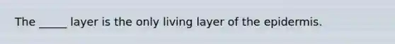 The _____ layer is the only living layer of the epidermis.