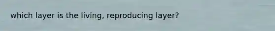 which layer is the living, reproducing layer?