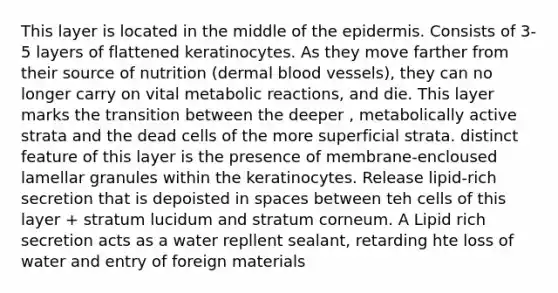 This layer is located in the middle of the epidermis. Consists of 3-5 layers of flattened keratinocytes. As they move farther from their source of nutrition (dermal blood vessels), they can no longer carry on vital metabolic reactions, and die. This layer marks the transition between the deeper , metabolically active strata and the dead cells of the more superficial strata. distinct feature of this layer is the presence of membrane-encloused lamellar granules within the keratinocytes. Release lipid-rich secretion that is depoisted in spaces between teh cells of this layer + stratum lucidum and stratum corneum. A Lipid rich secretion acts as a water repllent sealant, retarding hte loss of water and entry of foreign materials