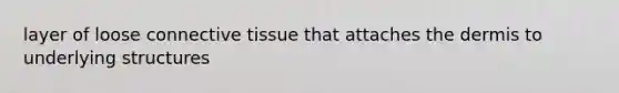 layer of loose connective tissue that attaches the dermis to underlying structures