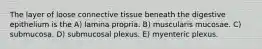 The layer of loose connective tissue beneath the digestive epithelium is the A) lamina propria. B) muscularis mucosae. C) submucosa. D) submucosal plexus. E) myenteric plexus.