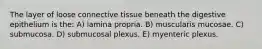 The layer of loose connective tissue beneath the digestive epithelium is the: A) lamina propria. B) muscularis mucosae. C) submucosa. D) submucosal plexus. E) myenteric plexus.