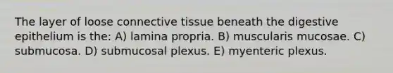 The layer of loose <a href='https://www.questionai.com/knowledge/kYDr0DHyc8-connective-tissue' class='anchor-knowledge'>connective tissue</a> beneath the digestive epithelium is the: A) lamina propria. B) muscularis mucosae. C) submucosa. D) submucosal plexus. E) myenteric plexus.