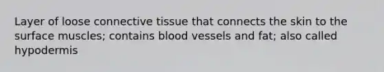 Layer of loose connective tissue that connects the skin to the surface muscles; contains blood vessels and fat; also called hypodermis