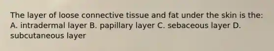 The layer of loose connective tissue and fat under the skin is the: A. intradermal layer B. papillary layer C. sebaceous layer D. subcutaneous layer