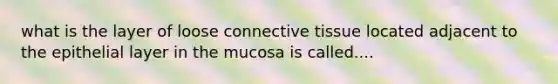 what is the layer of loose connective tissue located adjacent to the epithelial layer in the mucosa is called....