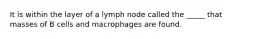 It is within the layer of a lymph node called the _____ that masses of B cells and macrophages are found.