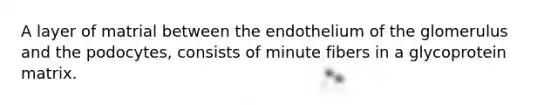 A layer of matrial between the endothelium of the glomerulus and the podocytes, consists of minute fibers in a glycoprotein matrix.