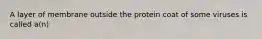 A layer of membrane outside the protein coat of some viruses is called a(n)