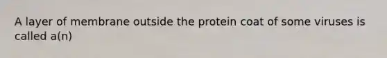 A layer of membrane outside the protein coat of some viruses is called a(n)