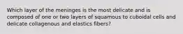 Which layer of the meninges is the most delicate and is composed of one or two layers of squamous to cuboidal cells and delicate collagenous and elastics fibers?