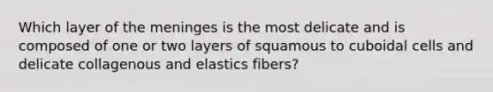 Which layer of the meninges is the most delicate and is composed of one or two layers of squamous to cuboidal cells and delicate collagenous and elastics fibers?