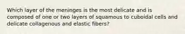 Which layer of the meninges is the most delicate and is composed of one or two layers of squamous to cuboidal cells and delicate collagenous and elastic fibers?