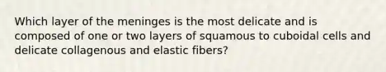 Which layer of the meninges is the most delicate and is composed of one or two layers of squamous to cuboidal cells and delicate collagenous and elastic fibers?