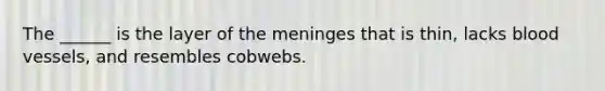 The ______ is the layer of the meninges that is thin, lacks blood vessels, and resembles cobwebs.