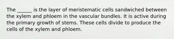 The ______ is the layer of meristematic cells sandwiched between the xylem and phloem in the vascular bundles. It is active during the primary growth of stems. These cells divide to produce the cells of the xylem and phloem.