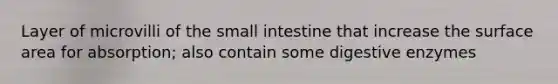 Layer of microvilli of the small intestine that increase the surface area for absorption; also contain some digestive enzymes