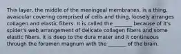 This layer, the middle of the meningeal membranes, is a thing, avascular covering comprised of cells and thing, loosely arranges collagen and elastic fibers. It is called the _______ because of it's spider's web arrangement of delicate collagen fibers and some elastic fibers. It is deep to the dura mater and it continuous through the foramen magnum with the _______ of the brain.