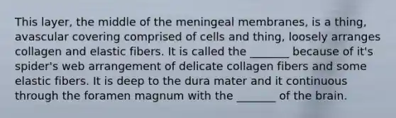 This layer, the middle of the meningeal membranes, is a thing, avascular covering comprised of cells and thing, loosely arranges collagen and elastic fibers. It is called the _______ because of it's spider's web arrangement of delicate collagen fibers and some elastic fibers. It is deep to the dura mater and it continuous through the foramen magnum with the _______ of the brain.